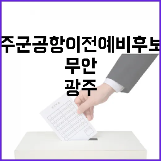 무안, 광주 군공항 이전 예비후보지 공식 선정