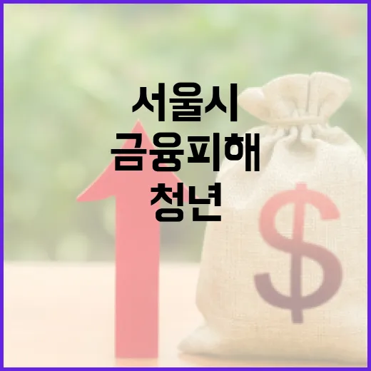 서울시 청년 금융피해 통합지원 서비스 안내