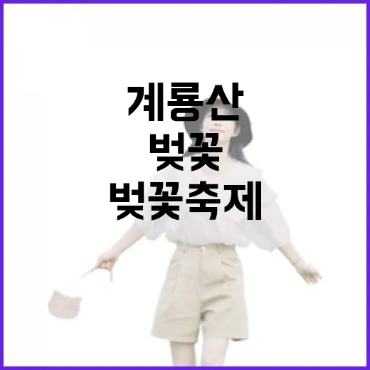 계룡산 벚꽃축제 현장 생생 리포트