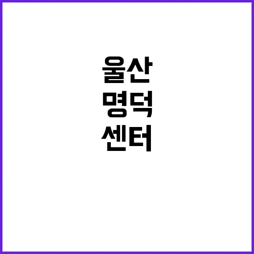 울산 명덕센터 동백…