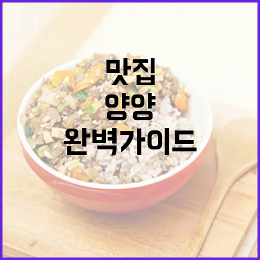 양양 맛집과 카페 완벽 가이드