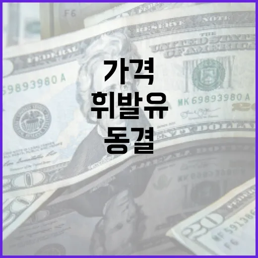 휘발유 경유 가격 동결, 민생 안정 집중