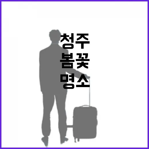 청주 문암생태공원 봄꽃과 피크닉 명소