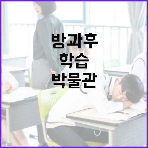 안성 보개도서관 책다락방 인기 비결