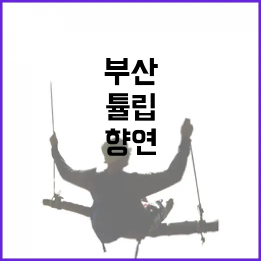 부산 화명생태공원 튤립 향연, 봄의 시작 알리다