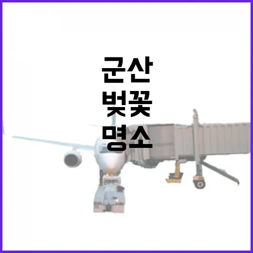 군산 은파호수공원 벚꽃터널과 야시장 명소