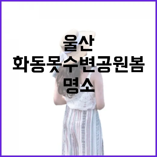 울산 화동못수변공원 봄 산책 명소