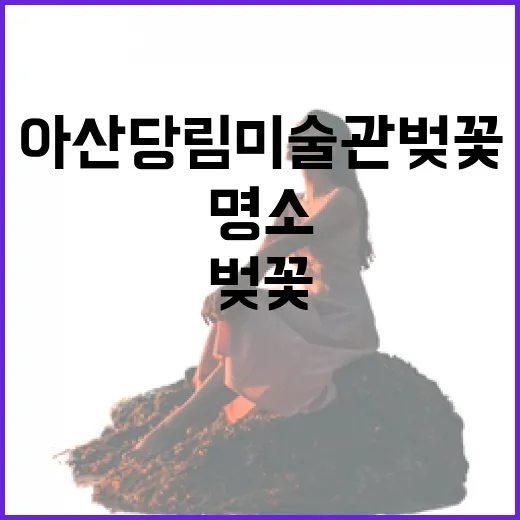아산 당림미술관 벚꽃 명소 봄 나들이