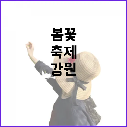 봄꽃 만개 강원 여행 축제 풍성