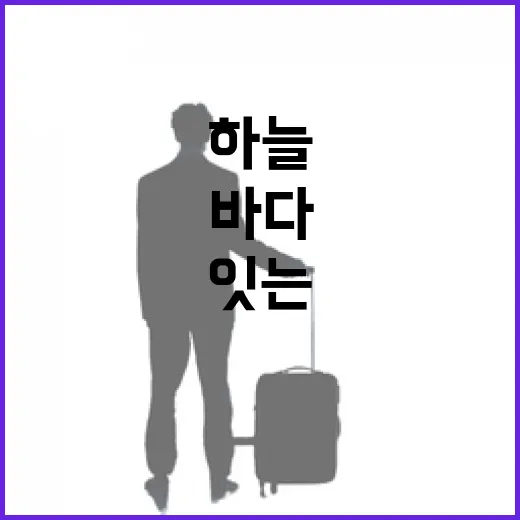 사천 바다와 하늘을 잇는 환상 여행