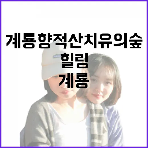 계룡 향적산 치유의…
