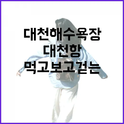 대천해수욕장과 대천항, 먹고 보고 걷는 완벽한 바다 여행