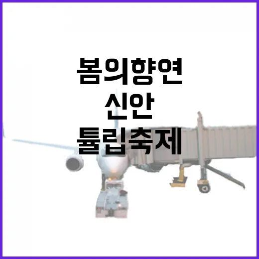 신안 임자도 튤립축제, 봄의 향연 펼쳐지다