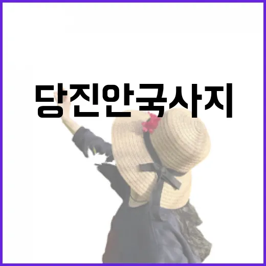 봄꽃과 함께하는 당진 안국사지 역사 산책