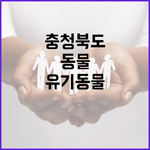 충청북도, 유기동물 입양비 지원으로 따뜻한 가족 만들기