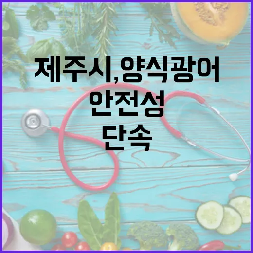 제주시, 양식광어 안전성 집중 단속 돌입