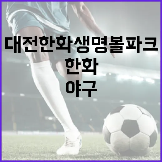 대전한화생명볼파크, 열정 가득한 야구 직관 현장