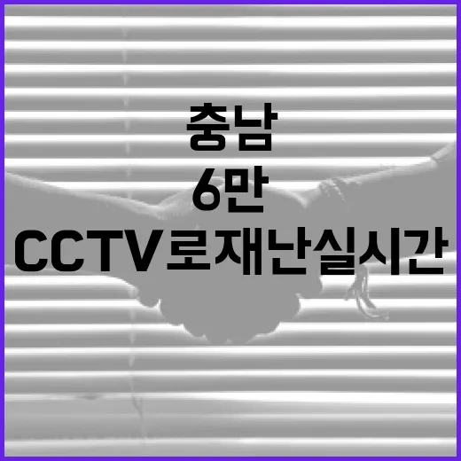 충남, 6만 CCTV로 재난 실시간 통합 대응