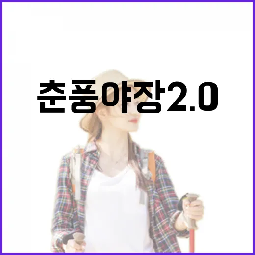 춘천 풍물시장, 춘풍야장 2.0으로 밤 문화 혁신