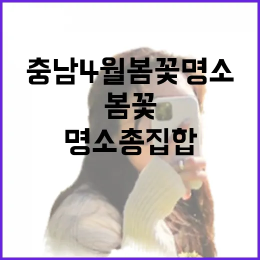 충남 4월 봄꽃 명소 총집합