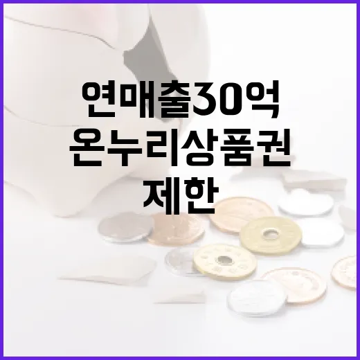 연매출 30억 이상 점포 온누리상품권 제한 강화