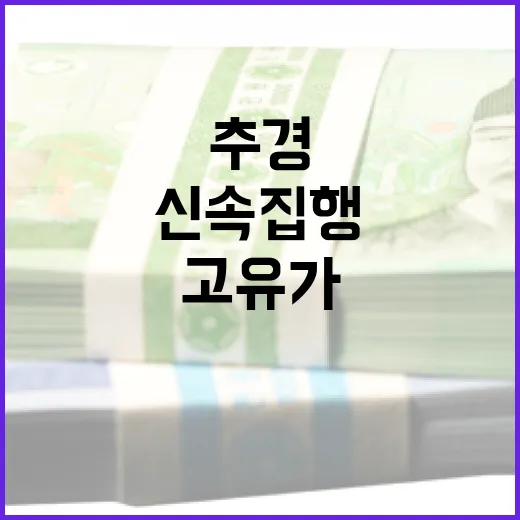 추경 10조 신속 집행, 고유가 지원금 27일부터