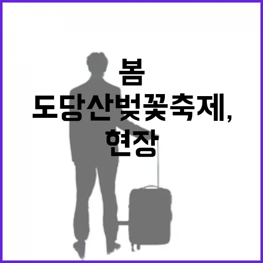 도당산 벚꽃축제, 봄의 향연 현장 기록