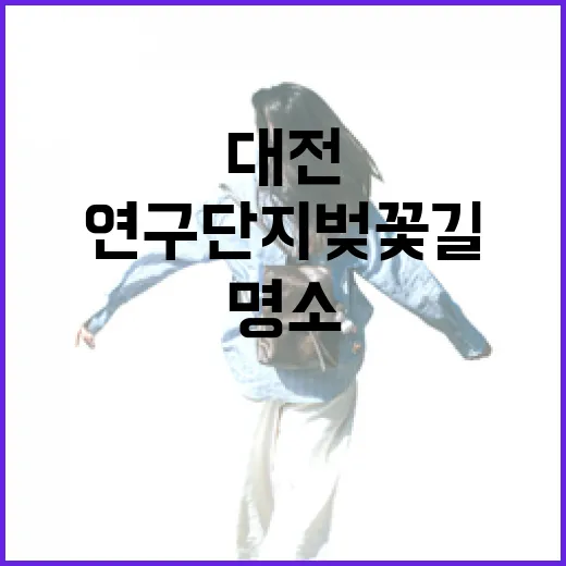 대전 연구단지 벚꽃길 산책 명소