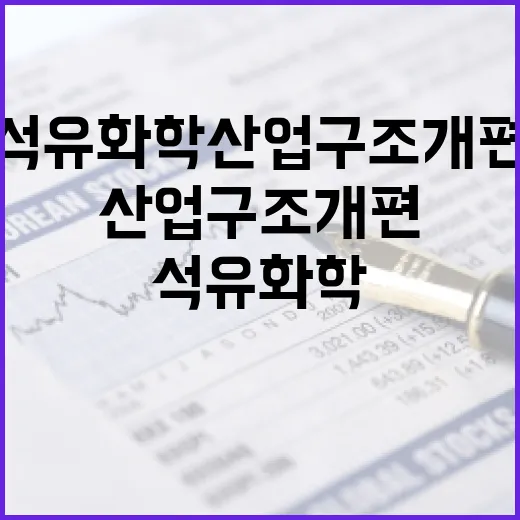 석유화학산업 구조개편 지원법 시행