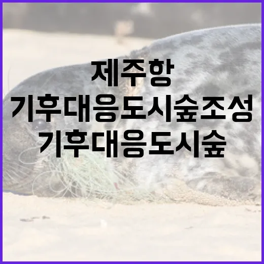 제주항 기후대응 도시숲 조성 본격화