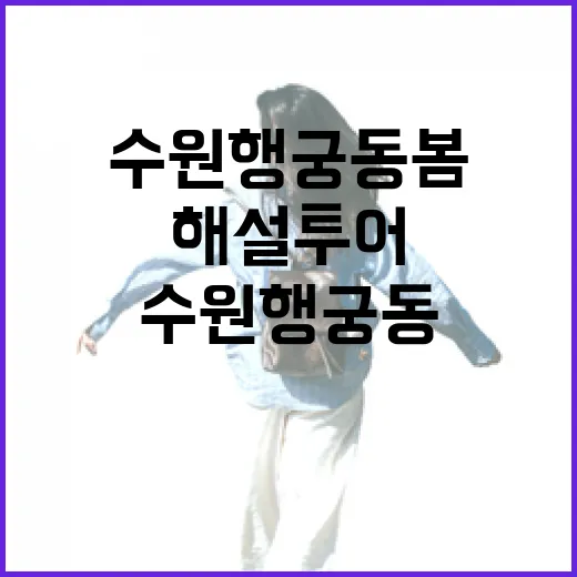 수원 행궁동 봄 해설투어, 역사와 벚꽃의 만남