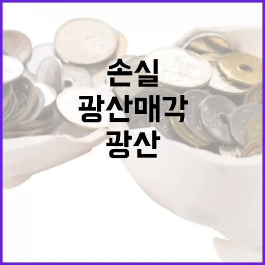 볼레오 광산 매각, 손실 최소화 전략이었다