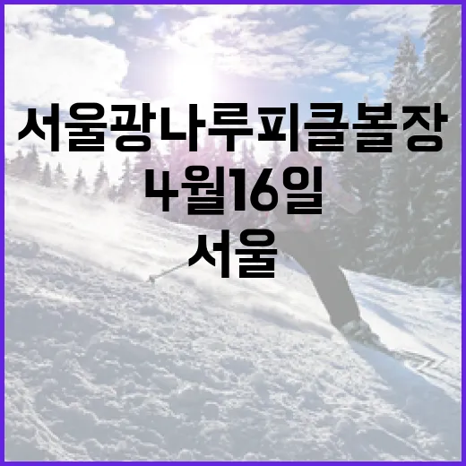서울 광나루 피클볼장 4월 16일 개장