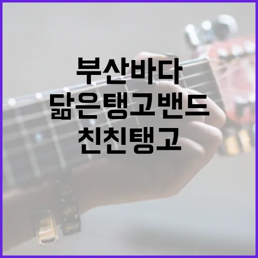 부산 바다 닮은 탱고밴드 친친탱고