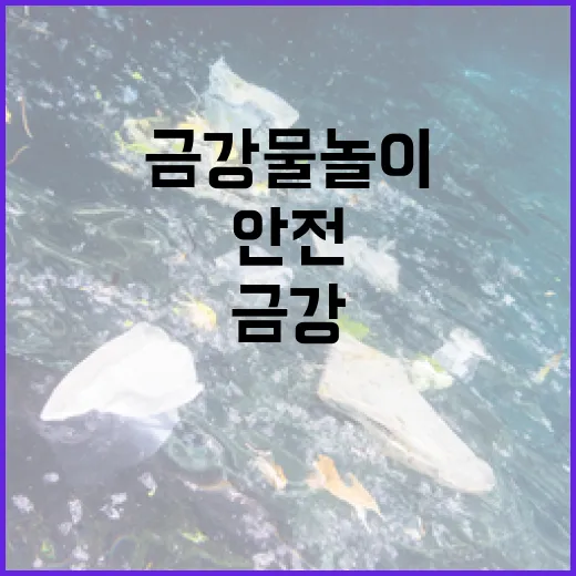 금강 물놀이 안전, 직접 확인하세요