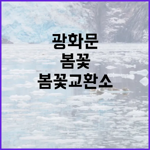 광화문 봄꽃 교환소, 재활용품으로 꽃 받자