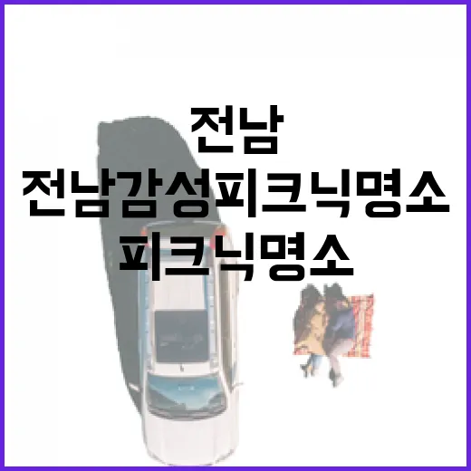 전남 감성 피크닉 명소 4선