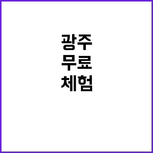 광주 주말 무료 문…