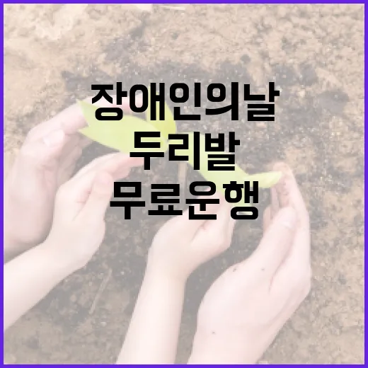 부산, 장애인의 날 두리발 24시간 무료 운행