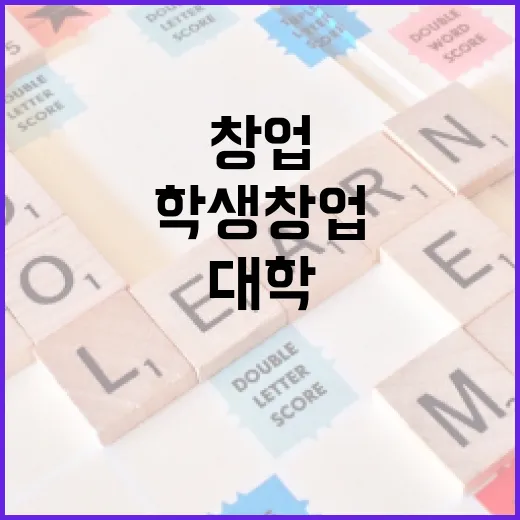 대학 창업친화제도 확산으로 학생 창업 지원 강화