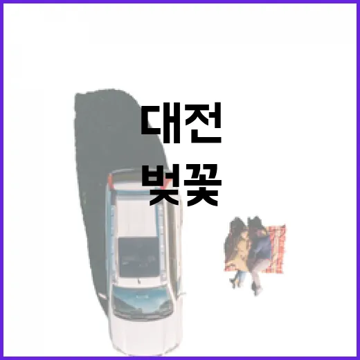 대전 충남대 벚꽃길 봄 풍경