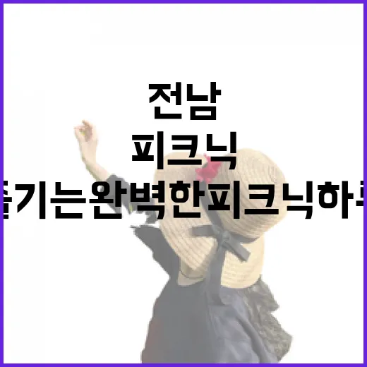 전남에서 즐기는 완벽한 피크닉 하루