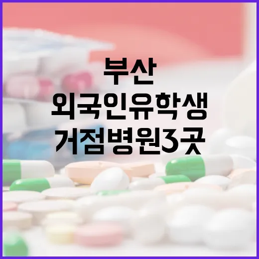 부산, 외국인 유학생 의료지원 거점병원 3곳 확대
