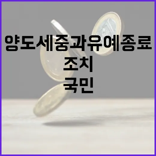 양도세 중과유예 종료, 국민 불편 해소 조치
