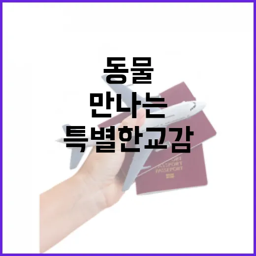 경북에서 만나는 동물과의 특별한 교감