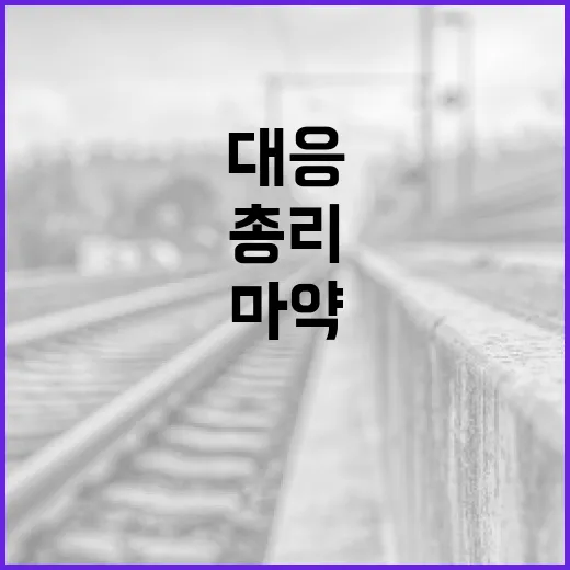 김 총리, 마약 청정국 위해 총력 대응 촉구