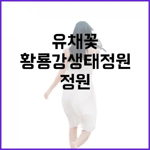 황룡강생태정원 유채꽃의 봄 풍경