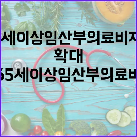 서울 35세 이상 임산부 의료비 지원 확대