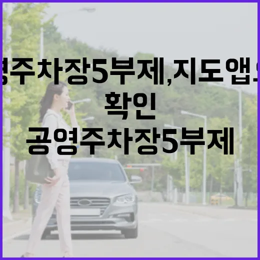 공영주차장 5부제, 지도앱으로 간편 확인