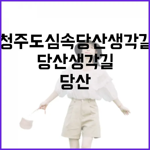 청주 도심 속 당산생각길 산책의 매력
